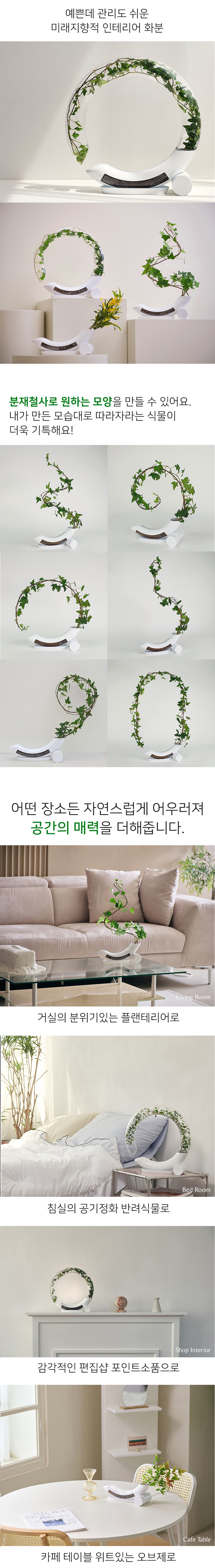 미래지향적 플랜테리어, 내 디자인대로 따라 자라는 식물 본문 이미지