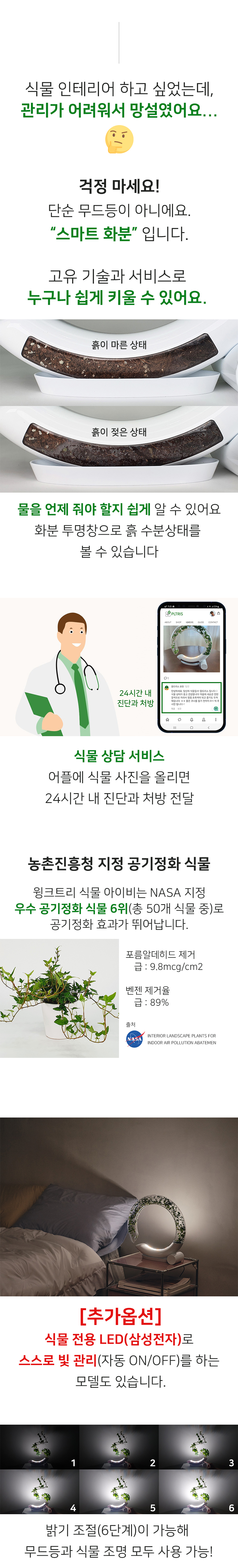 미래지향적 플랜테리어, 내 디자인대로 따라 자라는 식물 본문 이미지