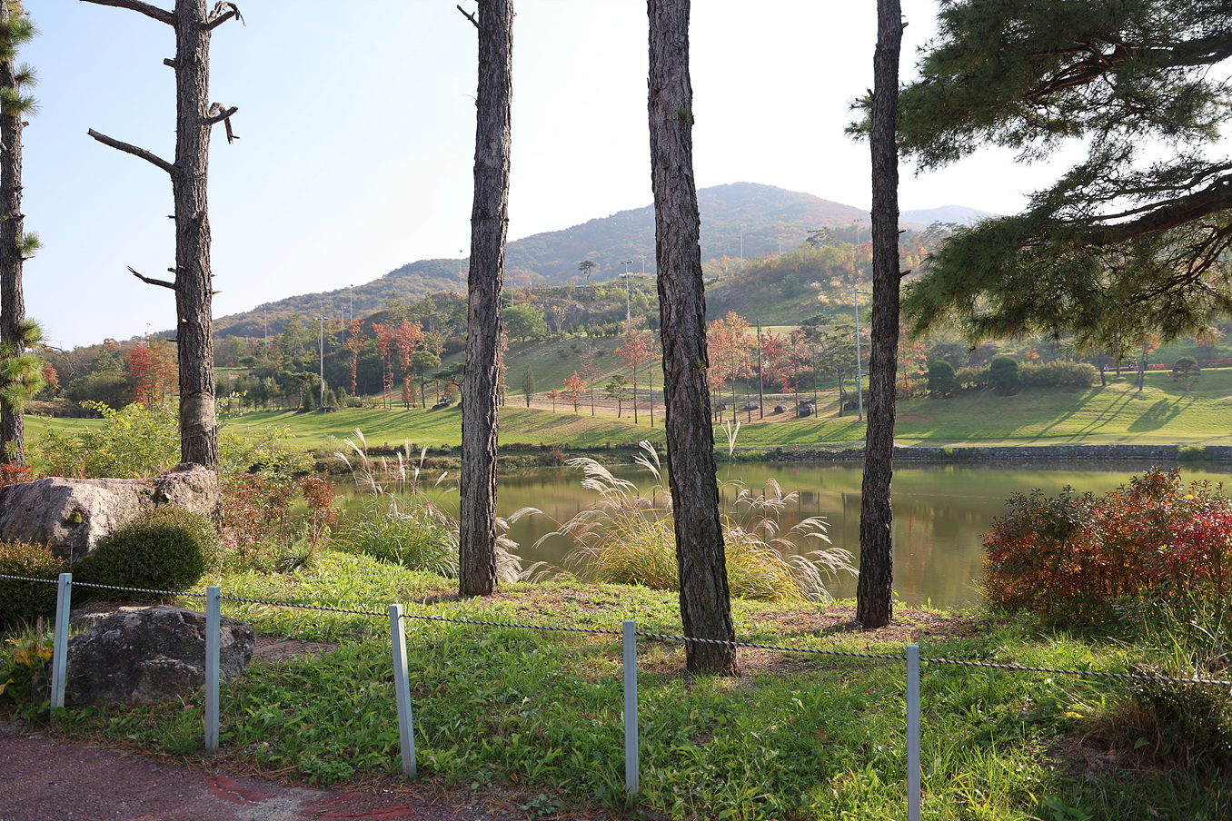 Workshop Case Image 2