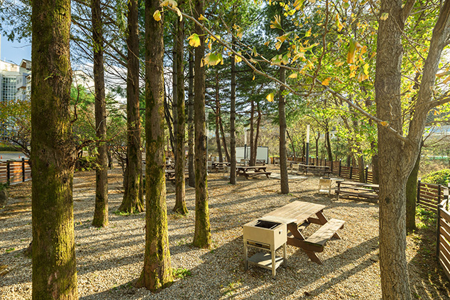 [강원 속초] 금호 설악 리조트