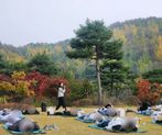 지친 현대인을 위한 멘탈케어 워크숍 <오피스 명상요가> 썸네일 이미지 10