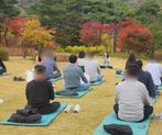 지친 현대인을 위한 멘탈케어 워크숍 <오피스 명상요가> 썸네일 이미지 11
