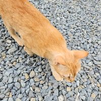 사진 후기 이미지