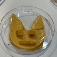 사진 후기 이미지