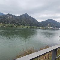 사진 후기 이미지