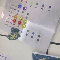 사진 후기 이미지