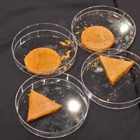 사진 후기 이미지