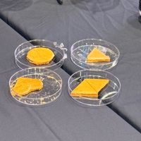 사진 후기 이미지