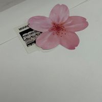 사진 후기 이미지