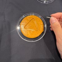 사진 후기 이미지