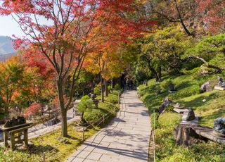 [경기 광주] 곤지암리조트 썸네일 이미지 5