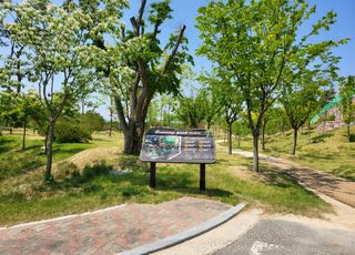 [경기 용인] 써닝리더십센터  썸네일 이미지 1