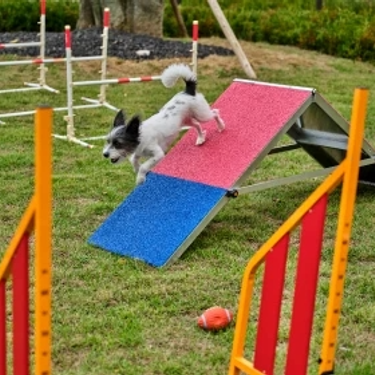 시설 썸네일 이미지