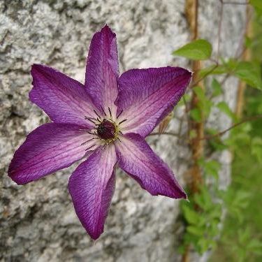 시설 썸네일 이미지