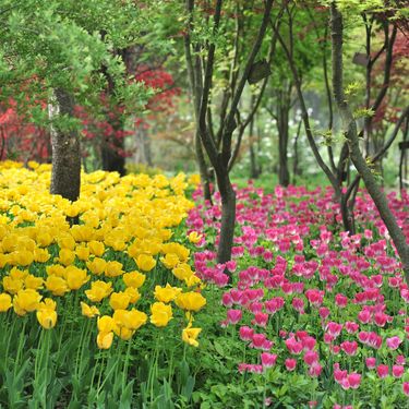 시설 썸네일 이미지