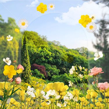 시설 썸네일 이미지