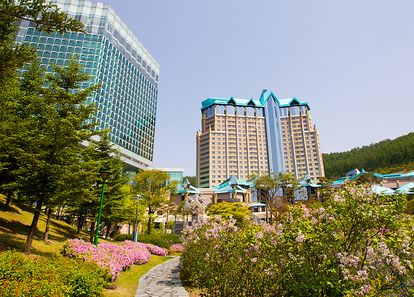 [강원 정선] 하이원 그랜드호텔 메인타워 썸네일