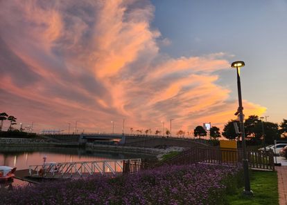 [경기 시흥] 거북섬 워크샵 썸네일
