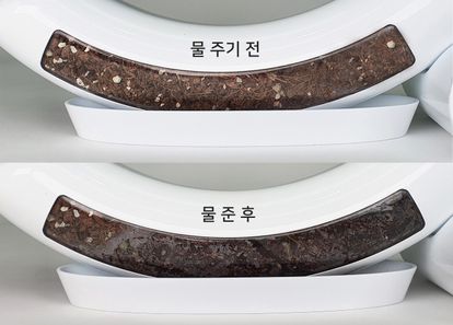 https://cdn.weebur.com/images/TUBL5LBVWYXL829LQ65L.jpg 썸네일