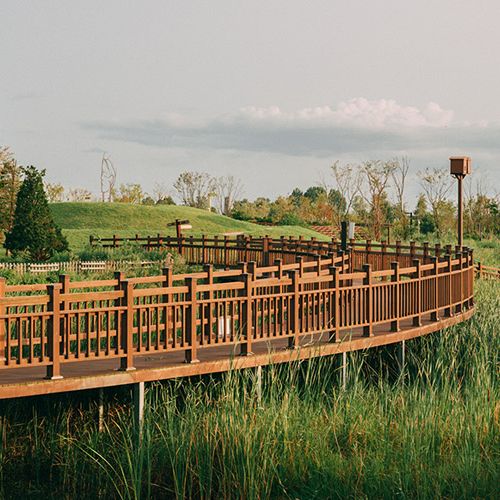 [경기 파주] 평화누리캠핑장 썸네일 이미지 14