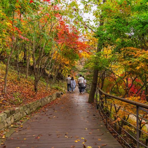 [경기 광주] 곤지암리조트 썸네일 이미지 17