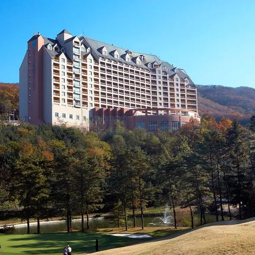 [경기 용인] 양지파인리조트 썸네일 이미지 2