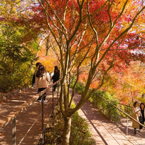 [경기 광주] 곤지암리조트 썸네일 이미지 18