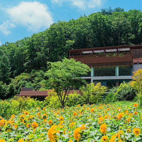 [강원 홍천] 힐리언스 선마을 썸네일 이미지 11