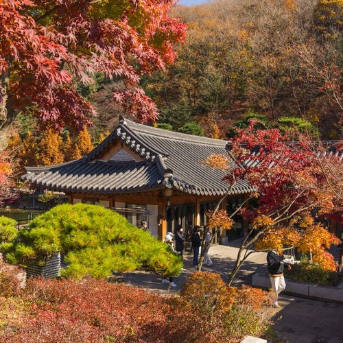 [경기 광주] 곤지암리조트 썸네일 이미지 20
