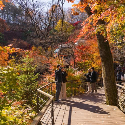[경기 광주] 곤지암리조트 썸네일 이미지 16
