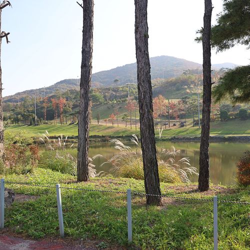 Workshop Case Image 2