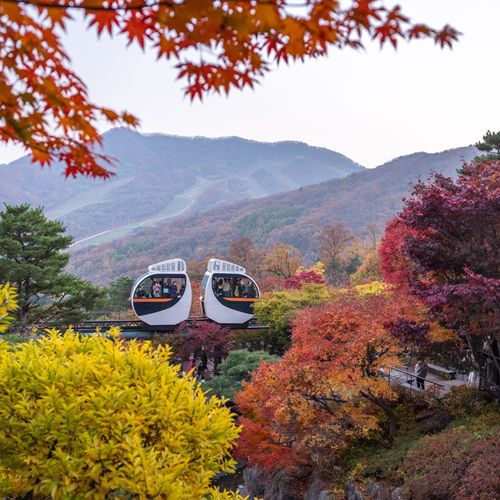 [경기 광주] 곤지암리조트 썸네일 이미지 19