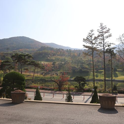 Workshop Case Image 3